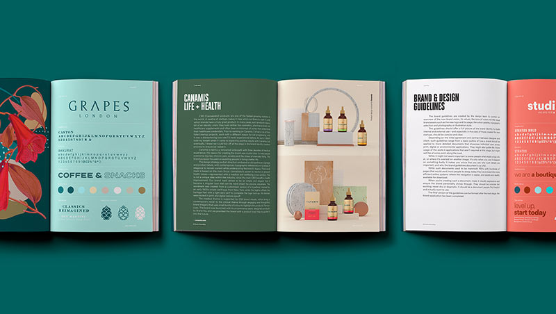 Alcune pagine interne del libro "book of branding"