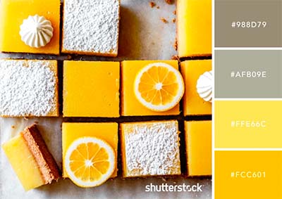 palette-color